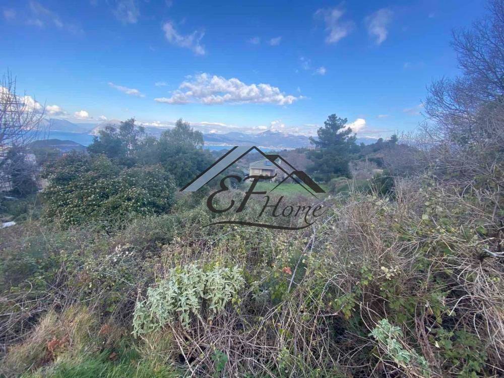 Άποψη οικοπέδου