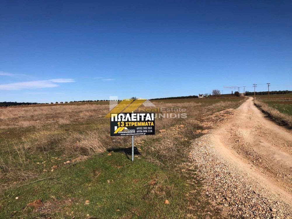 Αγορά αγροτεμαχίου 13,1 στρεμμάτων στον Απαλό Αλεξανδρούπολης
