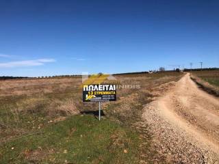 Αγορά αγροτεμαχίου 13,1 στρεμμάτων στον Απαλό Αλεξανδρούπολης