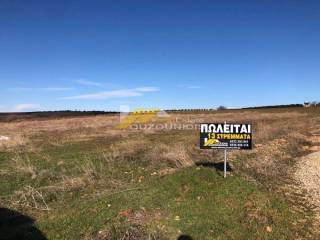 Agora agrotemaxiou 13,1 stremmatwn ston Apalo Alexandroupolis