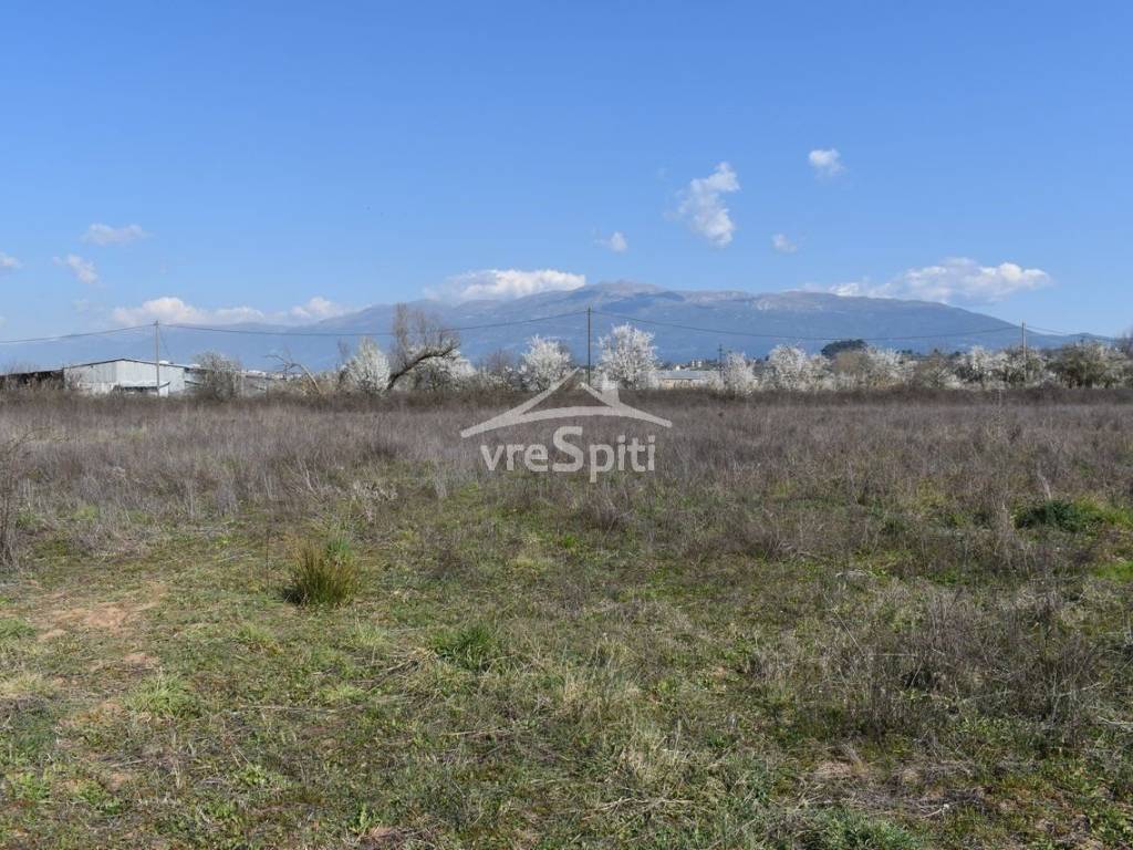 ΑΠΟΨΗ ΑΓΡΟΤΕΜΑΧΙΟΥ