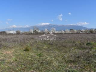 ΑΠΟΨΗ ΑΓΡΟΤΕΜΑΧΙΟΥ