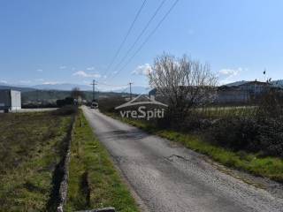 ΑΠΟΨΗ ΑΓΡΟΤΕΜΑΧΙΟΥ