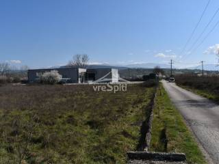 ΑΠΟΨΗ ΑΓΡΟΤΕΜΑΧΙΟΥ