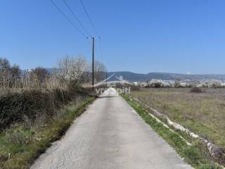 ΑΠΟΨΗ ΑΓΡΟΤΕΜΑΧΙΟΥ