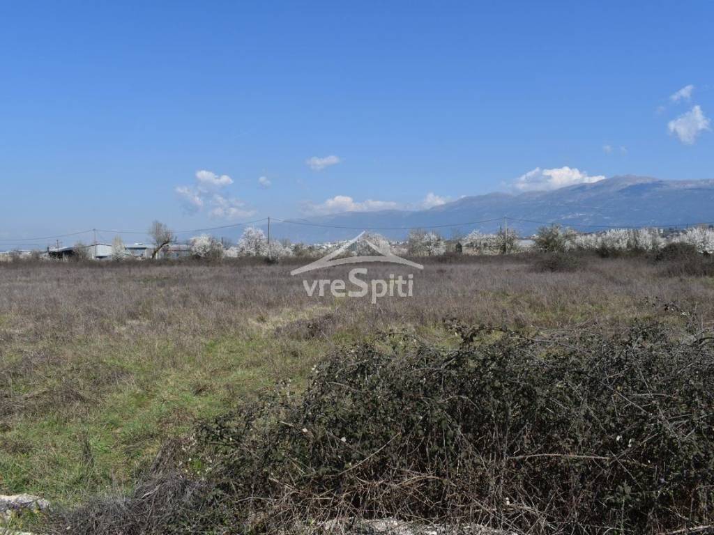 ΑΠΟΨΗ ΑΓΡΟΤΕΜΑΧΙΟΥ