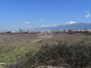 ΑΠΟΨΗ ΑΓΡΟΤΕΜΑΧΙΟΥ