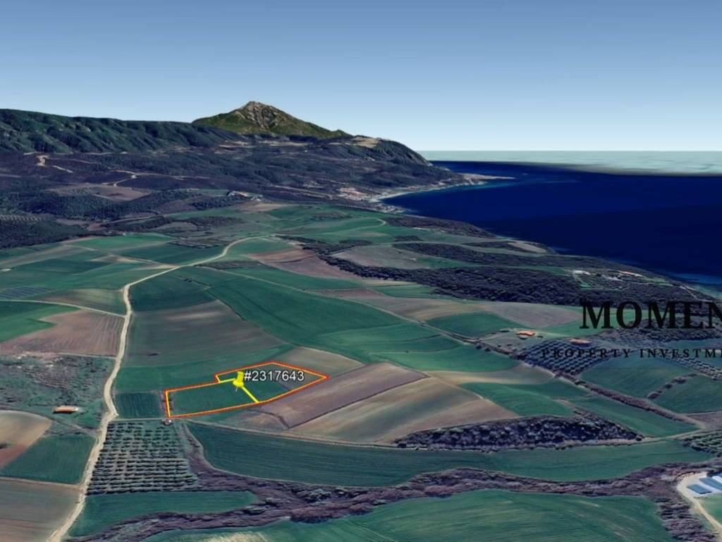 Εξωτερικοι χώροι