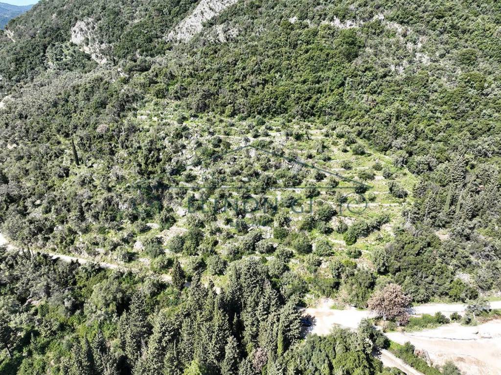 Το αγροτεμάχιο από ψηλά