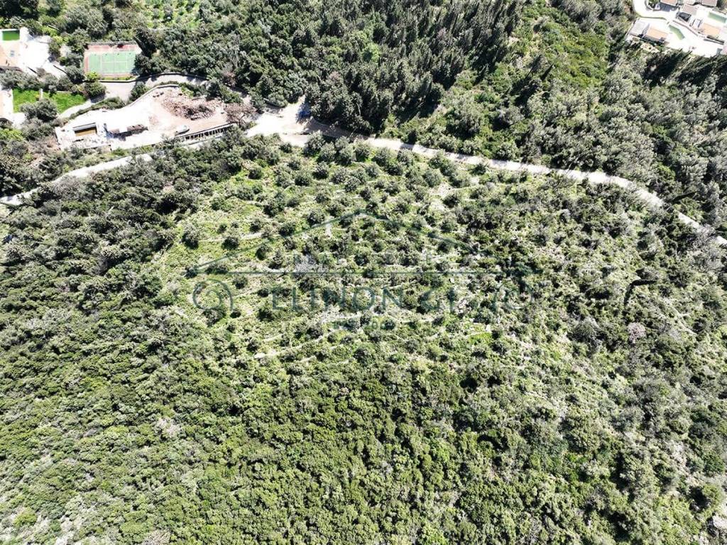 Το αγροτεμάχιο από ψηλά