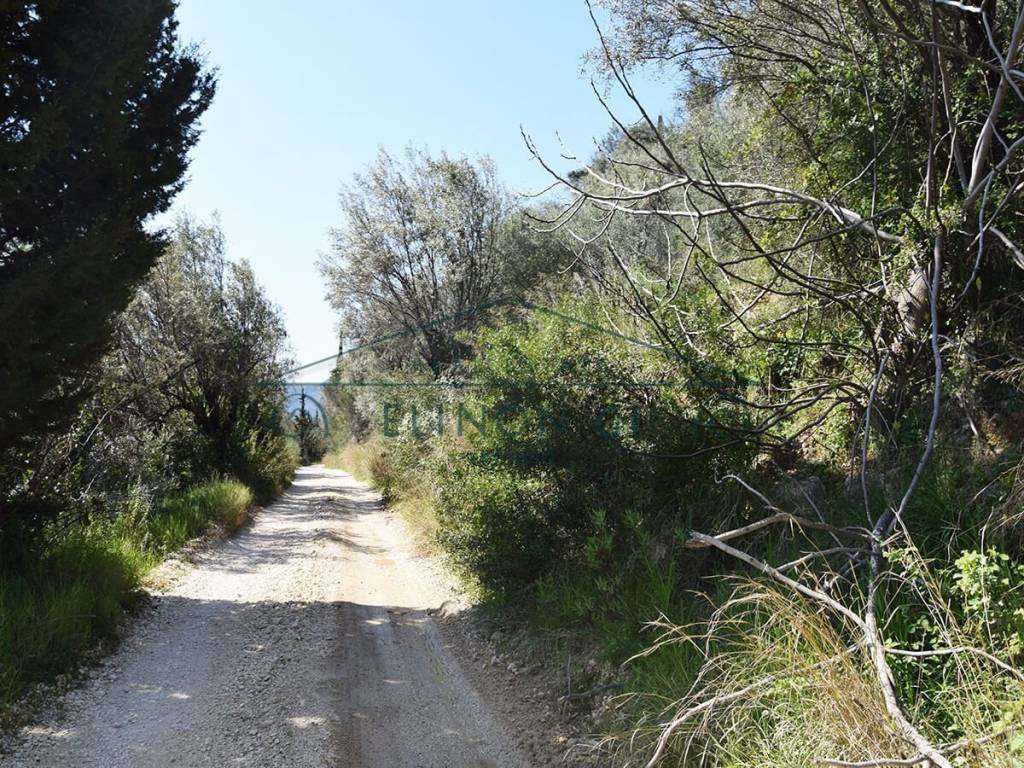 Η εύκολη πρόσβαση στο αγροτεμάχιο