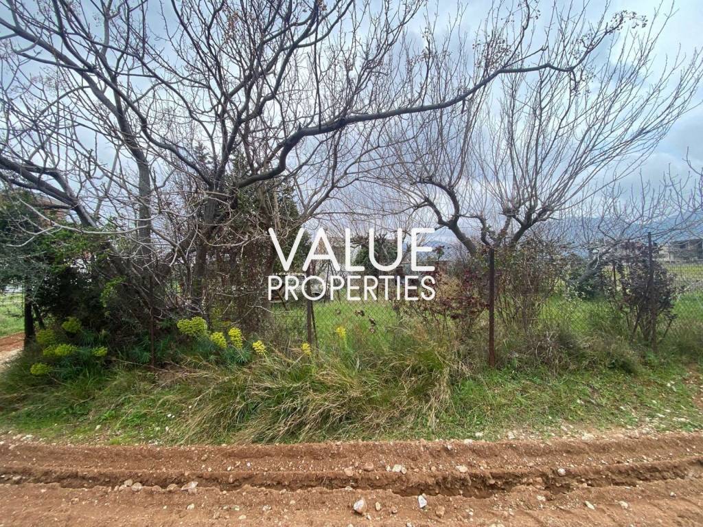 Εξωτερικοι χώροι