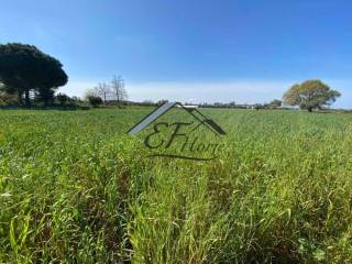 Άποψη Οικοπ΄έδου