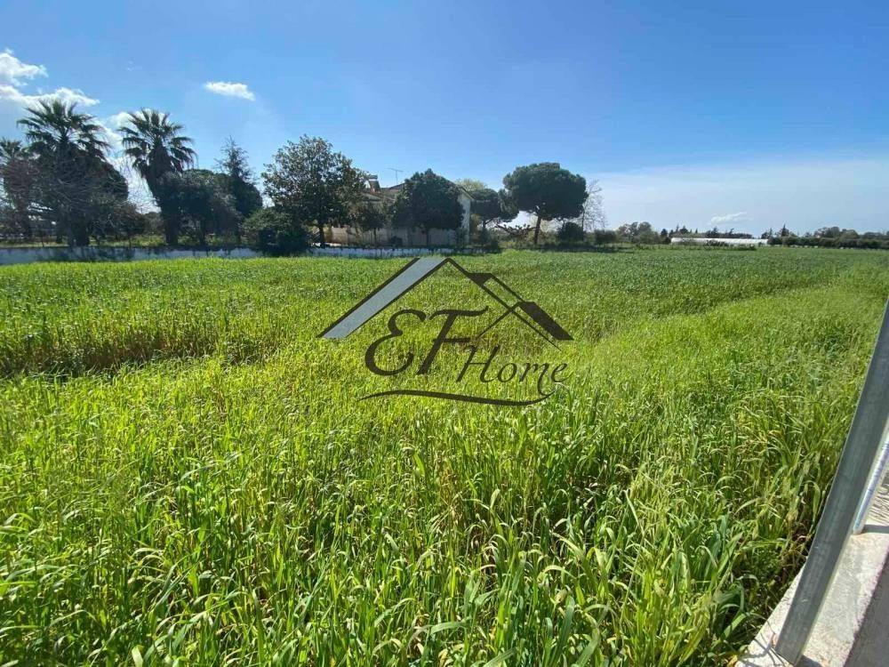 Άποψη Οικοπ΄έδου