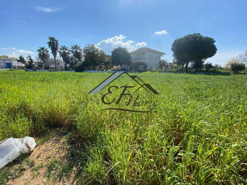 Άποψη Οικοπ΄έδου