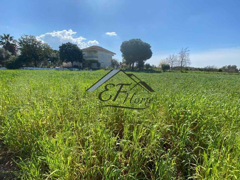 Άποψη Οικοπ΄έδου