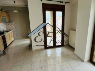 Σαλοκουζίνα