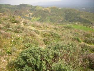 Plot - Grekodom 65747|1056414