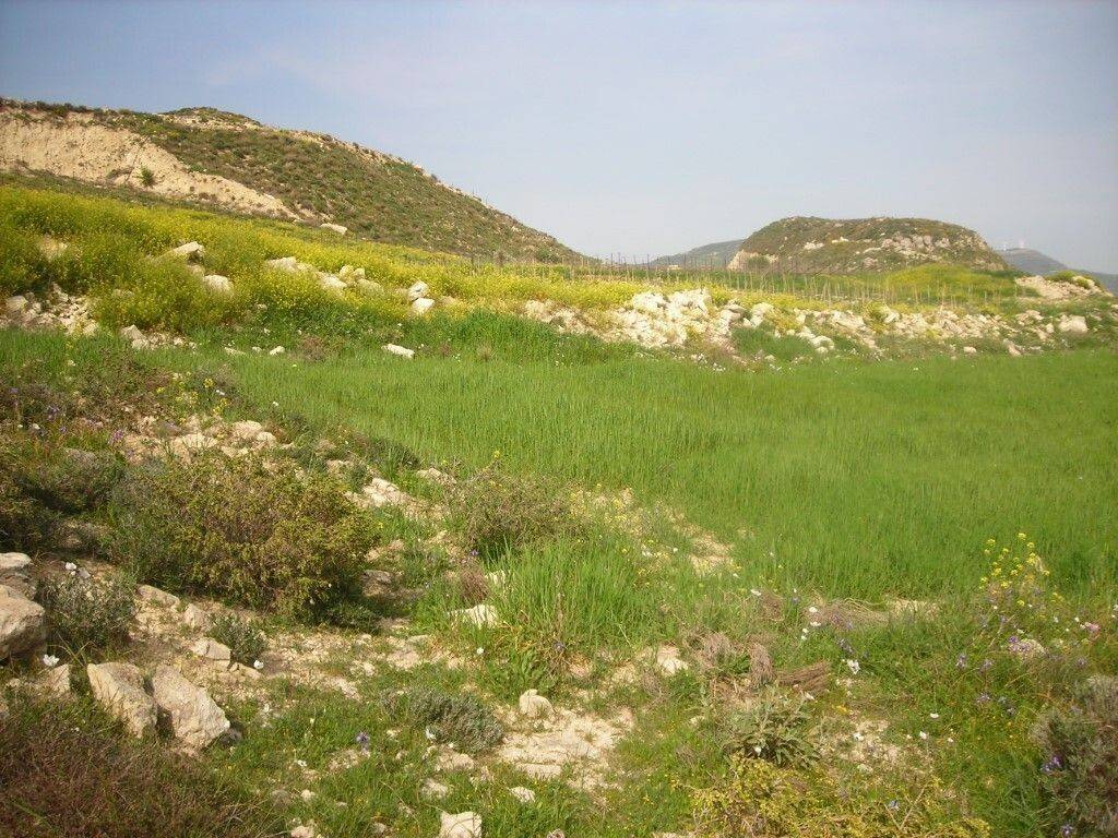 Plot - Grekodom 65747|1056415