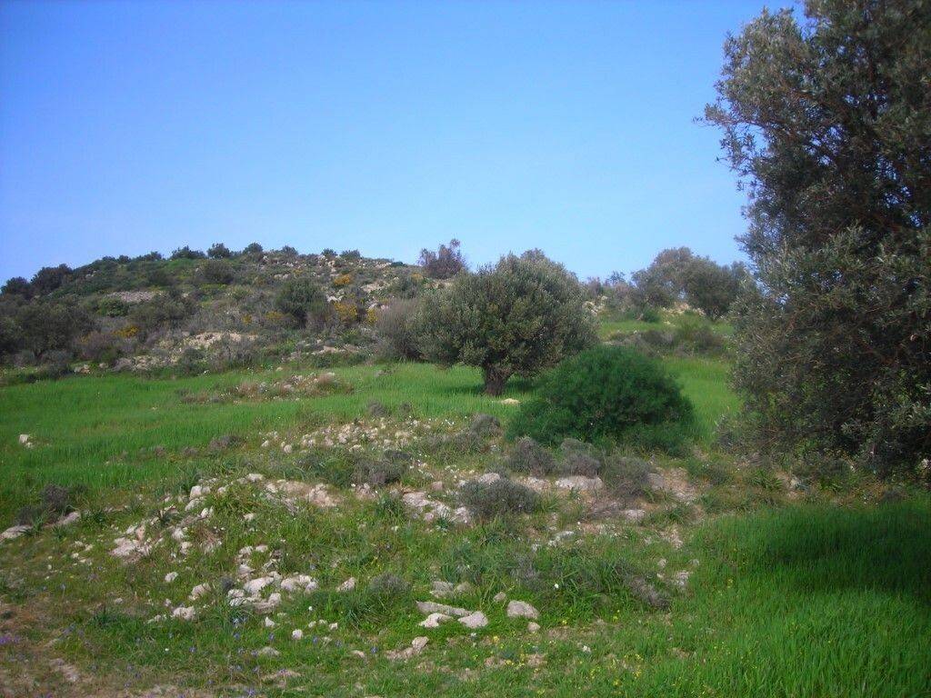 Plot - Grekodom 65747|1056416