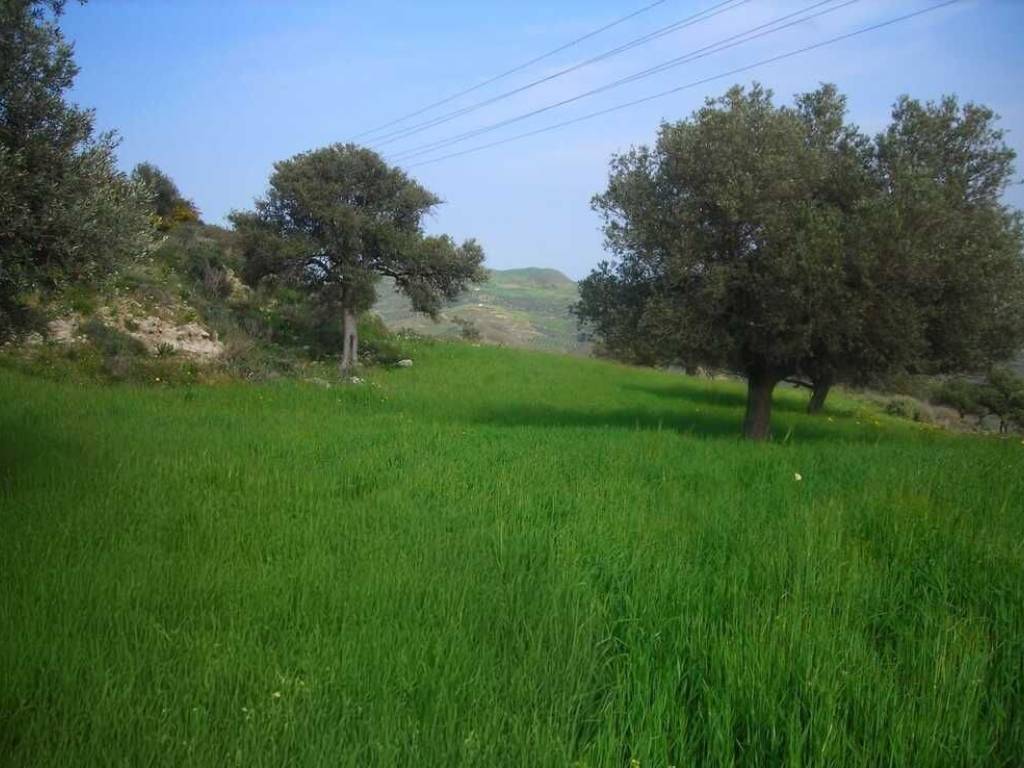 Plot - Grekodom 65747|1056418