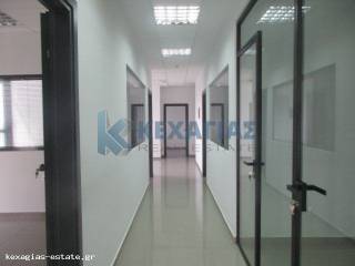 ΕΣΩΤΕΡΙΚΗ ΛΗΨΗ