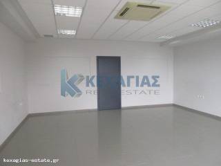 ΕΣΩΤΕΡΙΚΗ ΛΗΨΗ