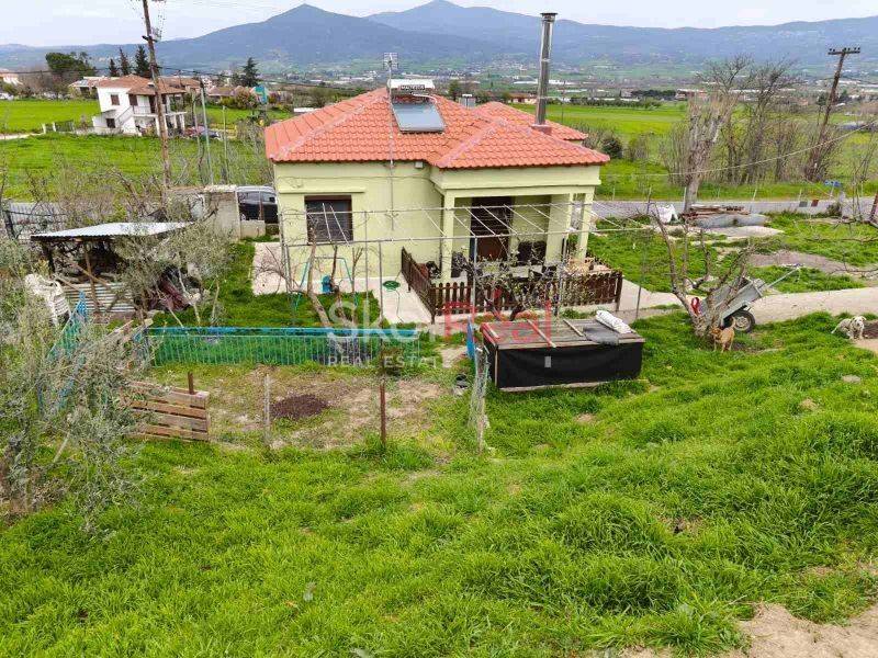 Εξωτερικός χώρος