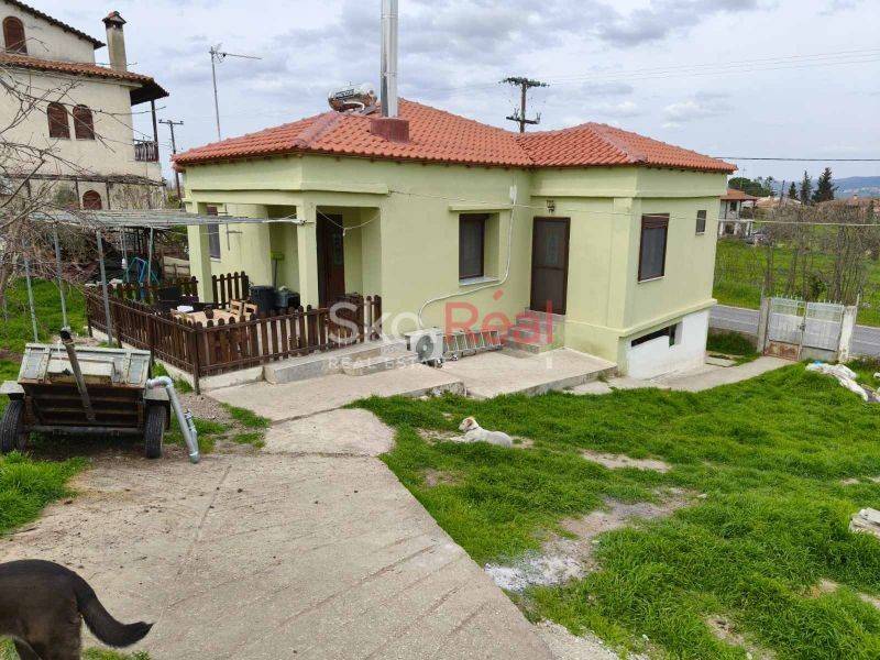 Εξωτερικός χώρος