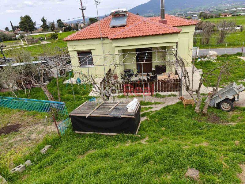 Εξωτερικός χώρος