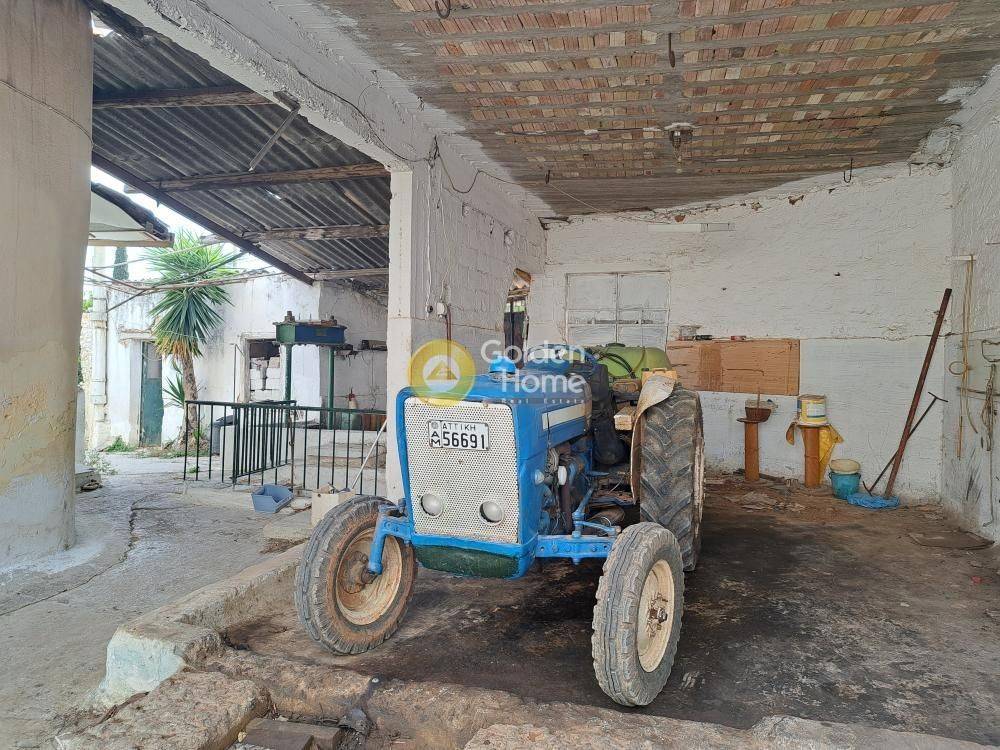 Κυρίως Χώρος