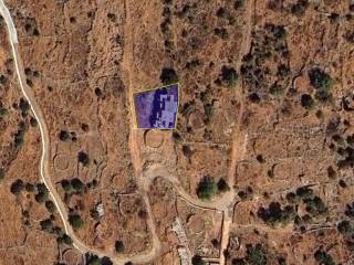 Ύπαρξη ανθρώπου