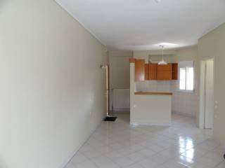 Σαλοκουζίνα