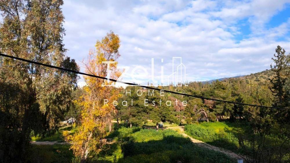 Θέα απο μπαλκόνι