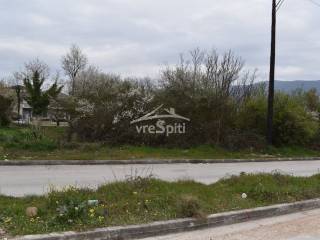 ΑΠΟΨΗ ΟΙΚΟΠΕΔΟΥ