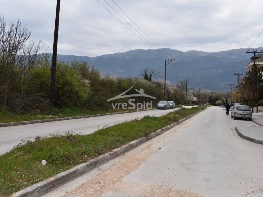 ΑΠΟΨΗ ΟΙΚΟΠΕΔΟΥ