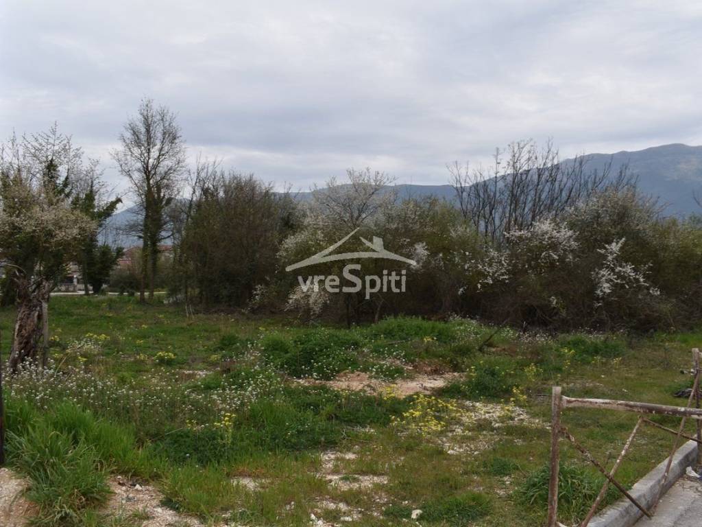 ΑΠΟΨΗ ΟΙΚΟΠΕΔΟΥ