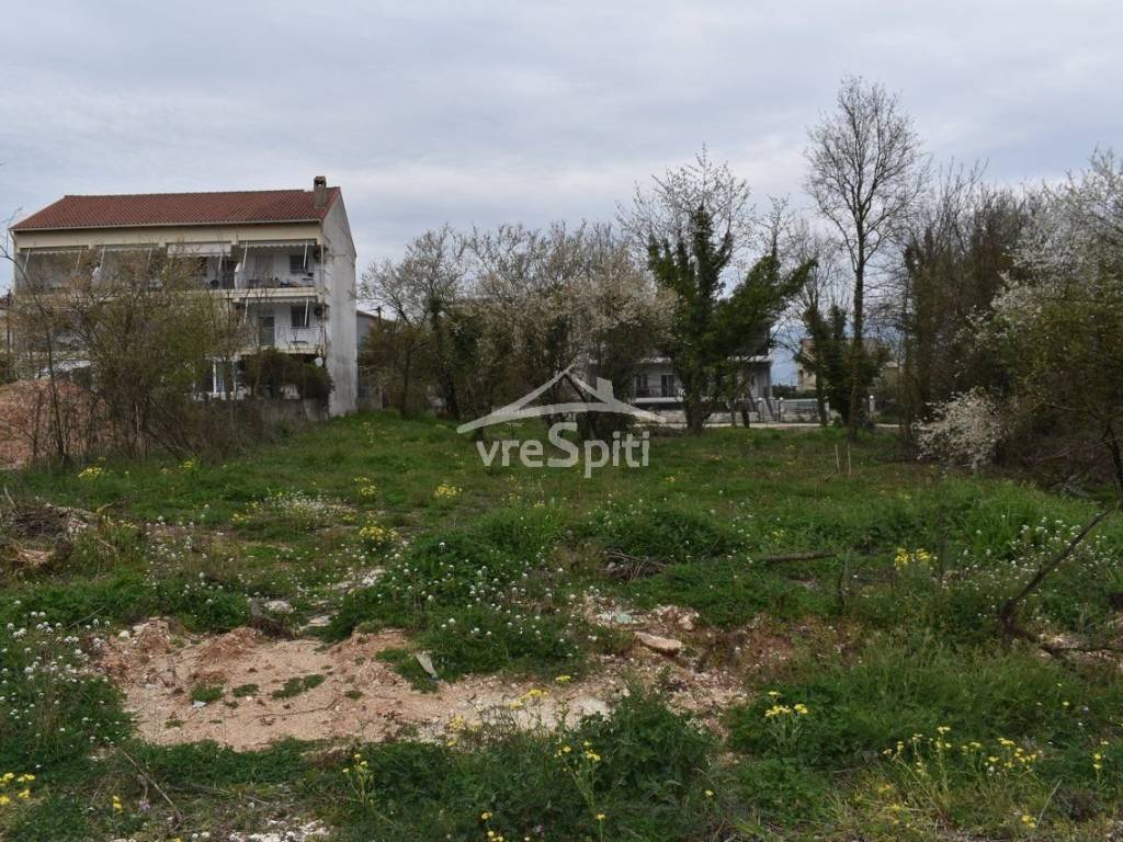 ΑΠΟΨΗ ΟΙΚΟΠΕΔΟΥ