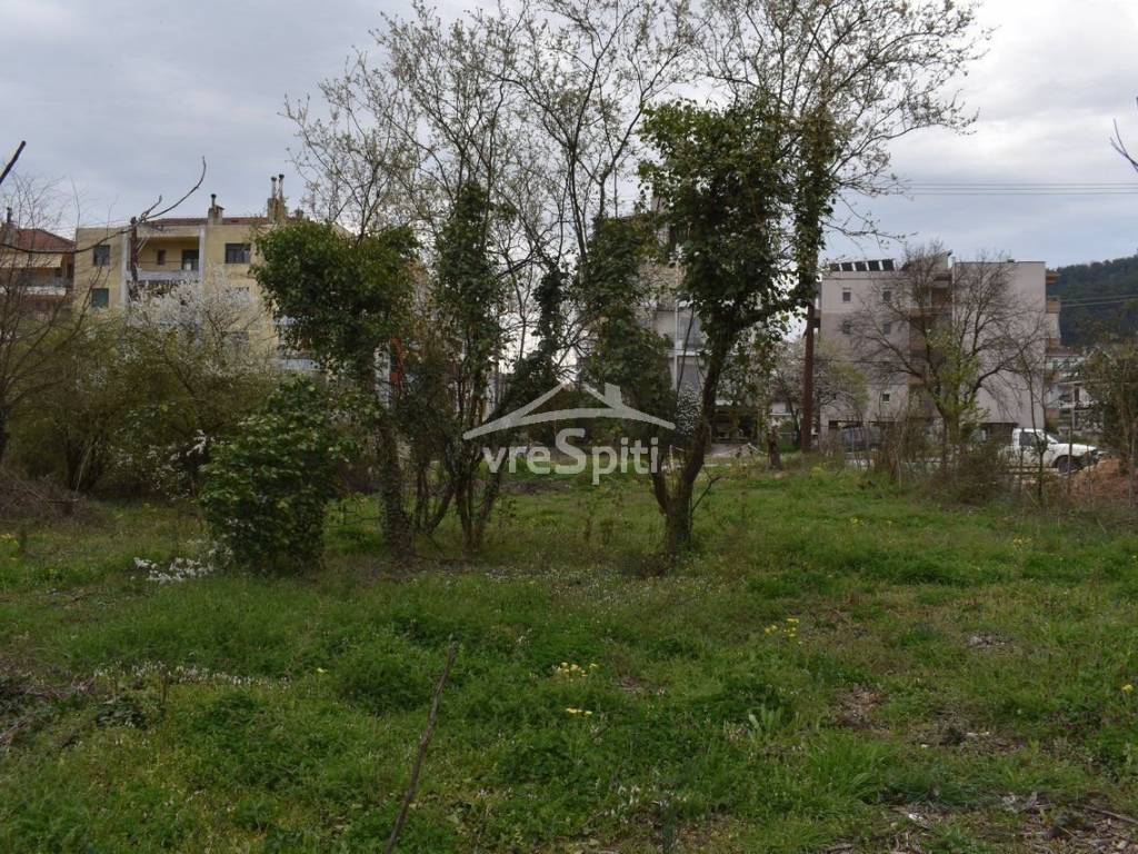 ΑΠΟΨΗ ΟΙΚΟΠΕΔΟΥ