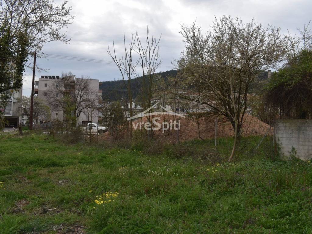 ΑΠΟΨΗ ΟΙΚΟΠΕΔΟΥ