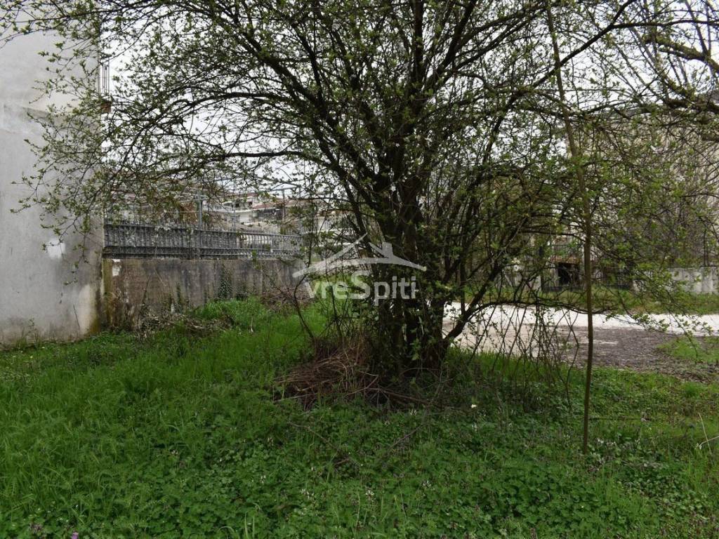 ΑΠΟΨΗ ΟΙΚΟΠΕΔΟΥ