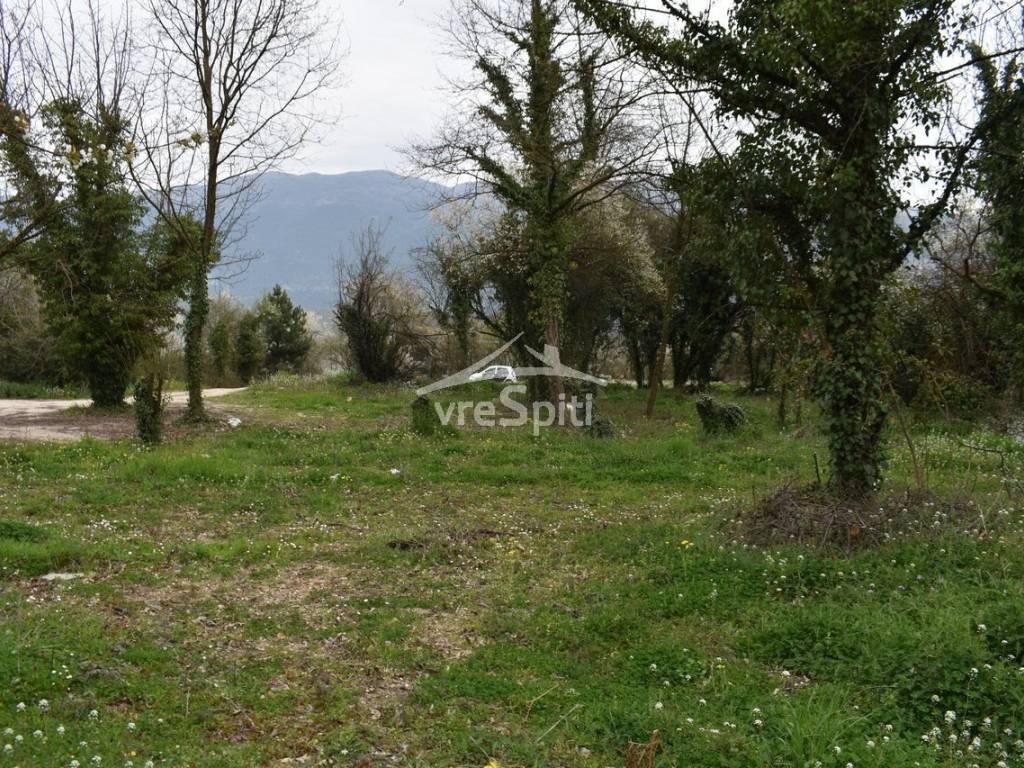 ΑΠΟΨΗ ΟΙΚΟΠΕΔΟΥ