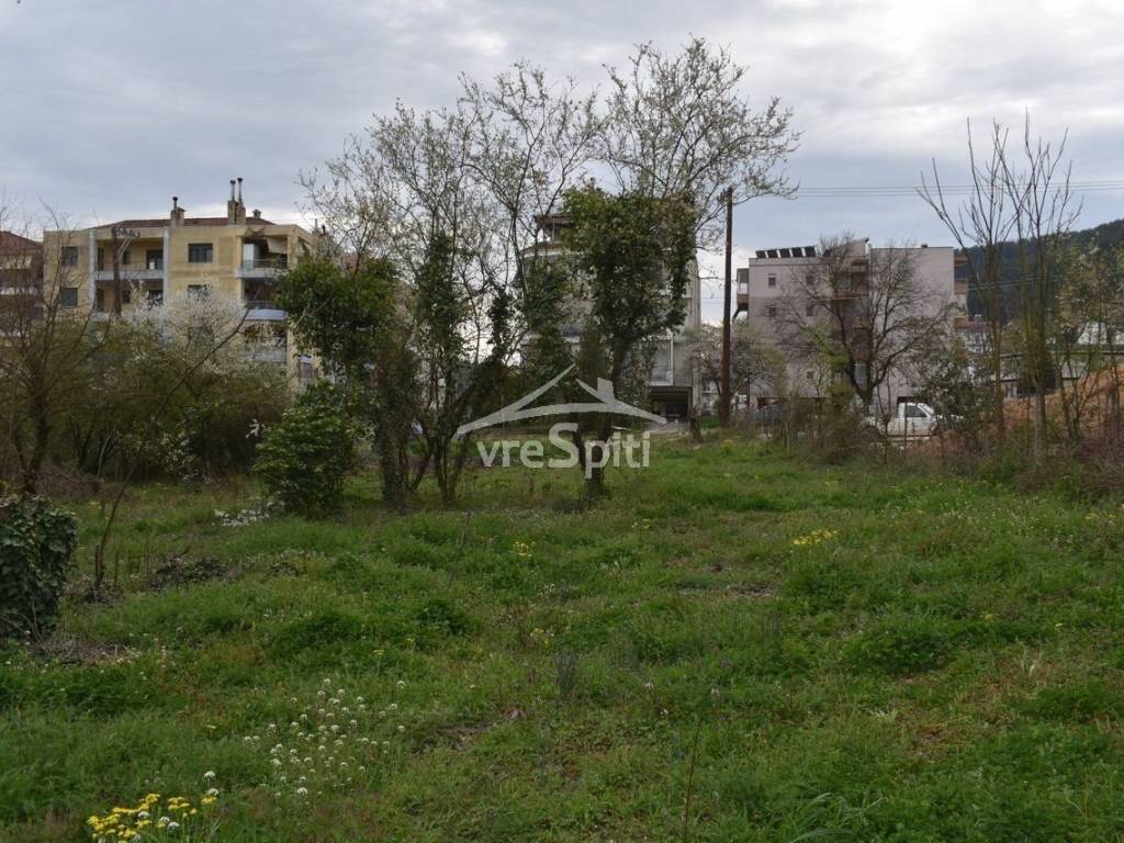 ΑΠΟΨΗ ΟΙΚΟΠΕΔΟΥ