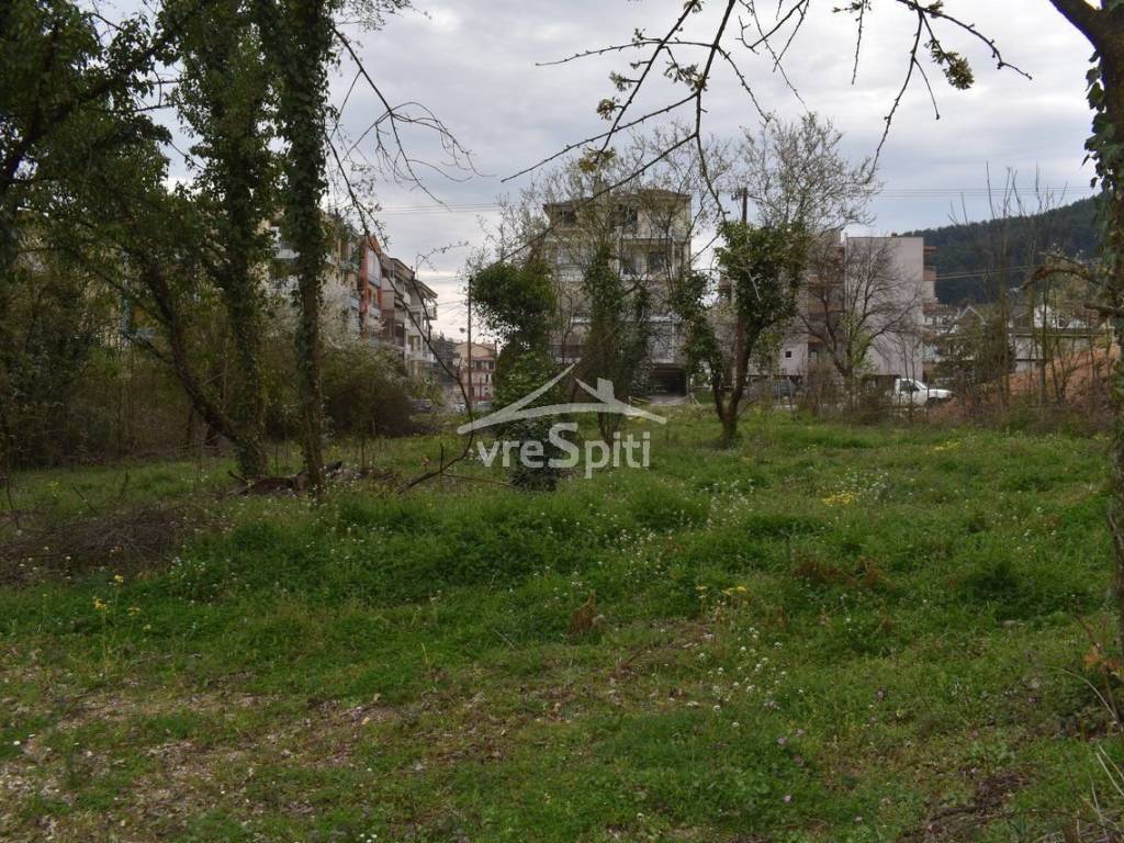 ΑΠΟΨΗ ΟΙΚΟΠΕΔΟΥ