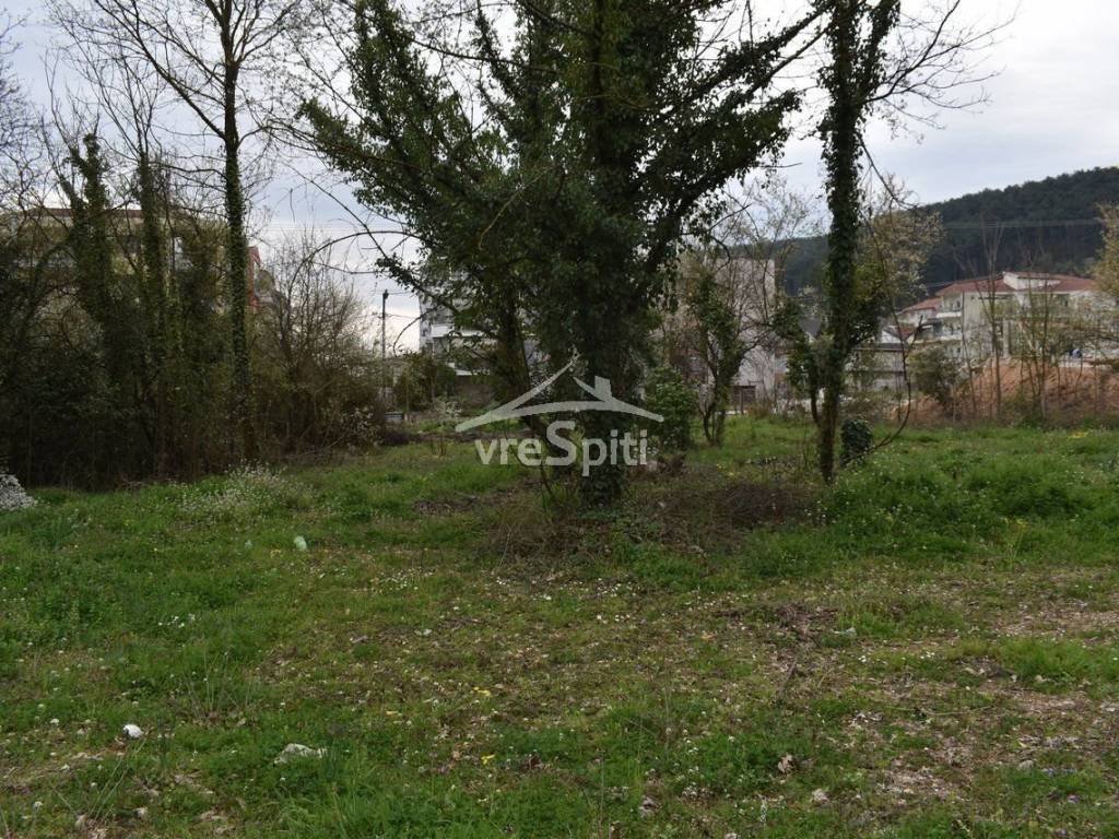 ΑΠΟΨΗ ΟΙΚΟΠΕΔΟΥ