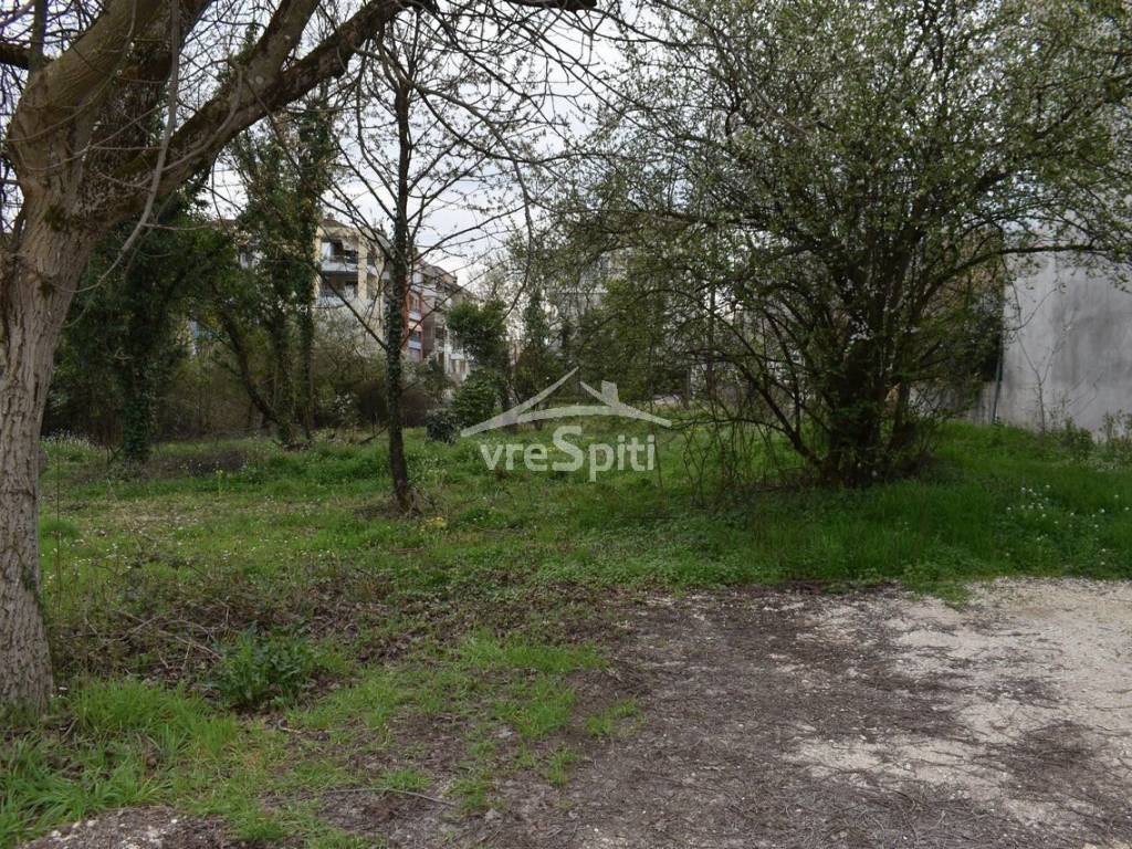 ΑΠΟΨΗ ΟΙΚΟΠΕΔΟΥ