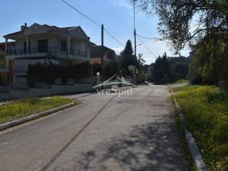 ΑΠΟΨΗ ΟΙΚΟΠΕΔΟΥ