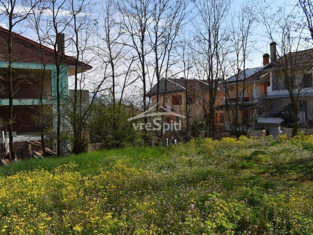 ΑΠΟΨΗ ΟΙΚΟΠΕΔΟΥ