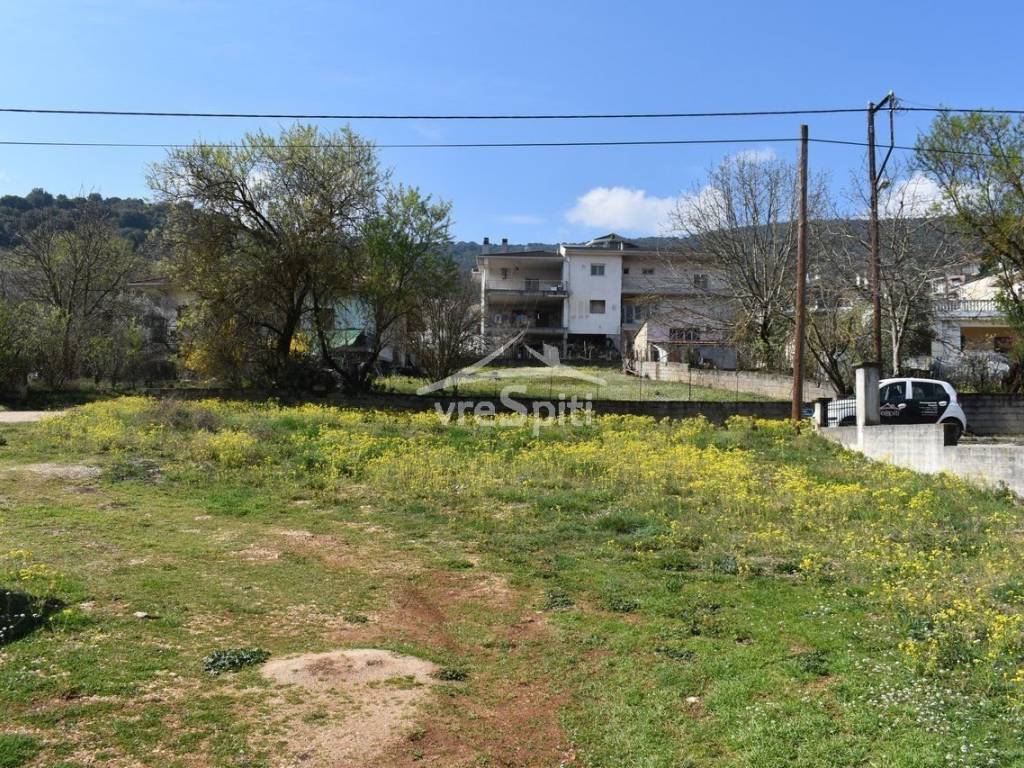 ΑΠΟΨΗ ΟΙΚΟΠΕΔΟΥ