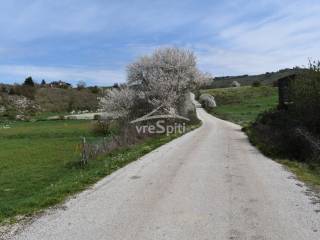 ΑΠΟΨΗ ΑΓΡΟΤΕΜΑΧΙΟΥ